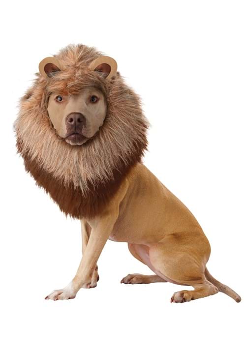 large dog lion pet costume for halloween