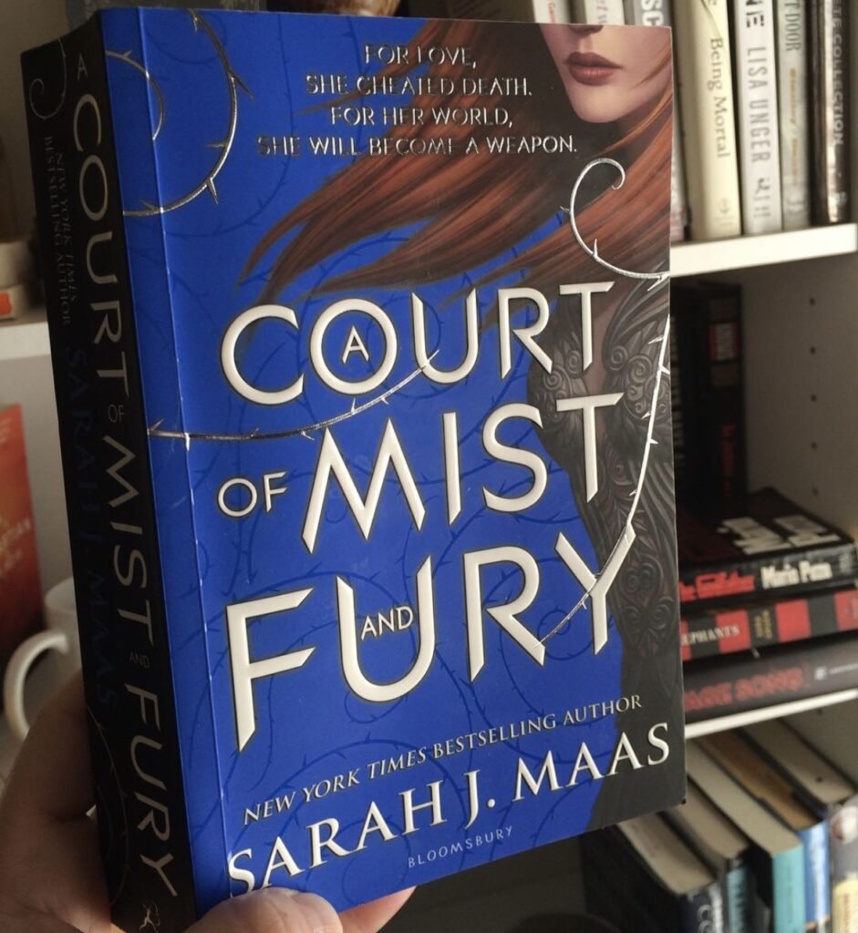 Sarah J Maas fantasy book series