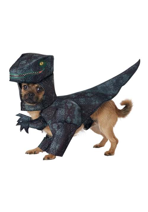 Halloween Pet Costumes dinosaur dog