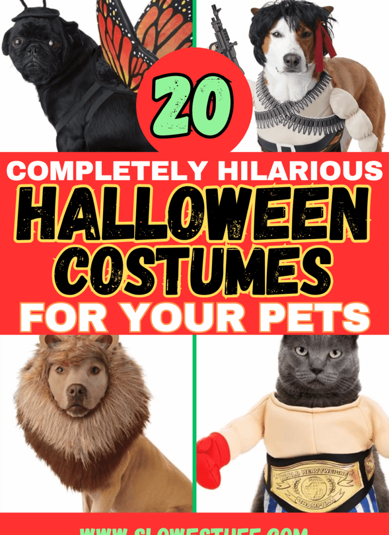 20 Halloween Pet Costumes for Large & Small Dogs (cats too!)