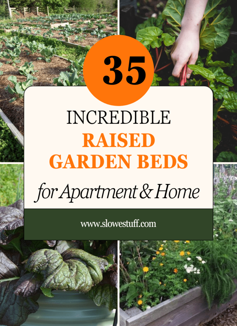 The Best Raised Garden Bed Options