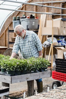 raised gardening bed elderly