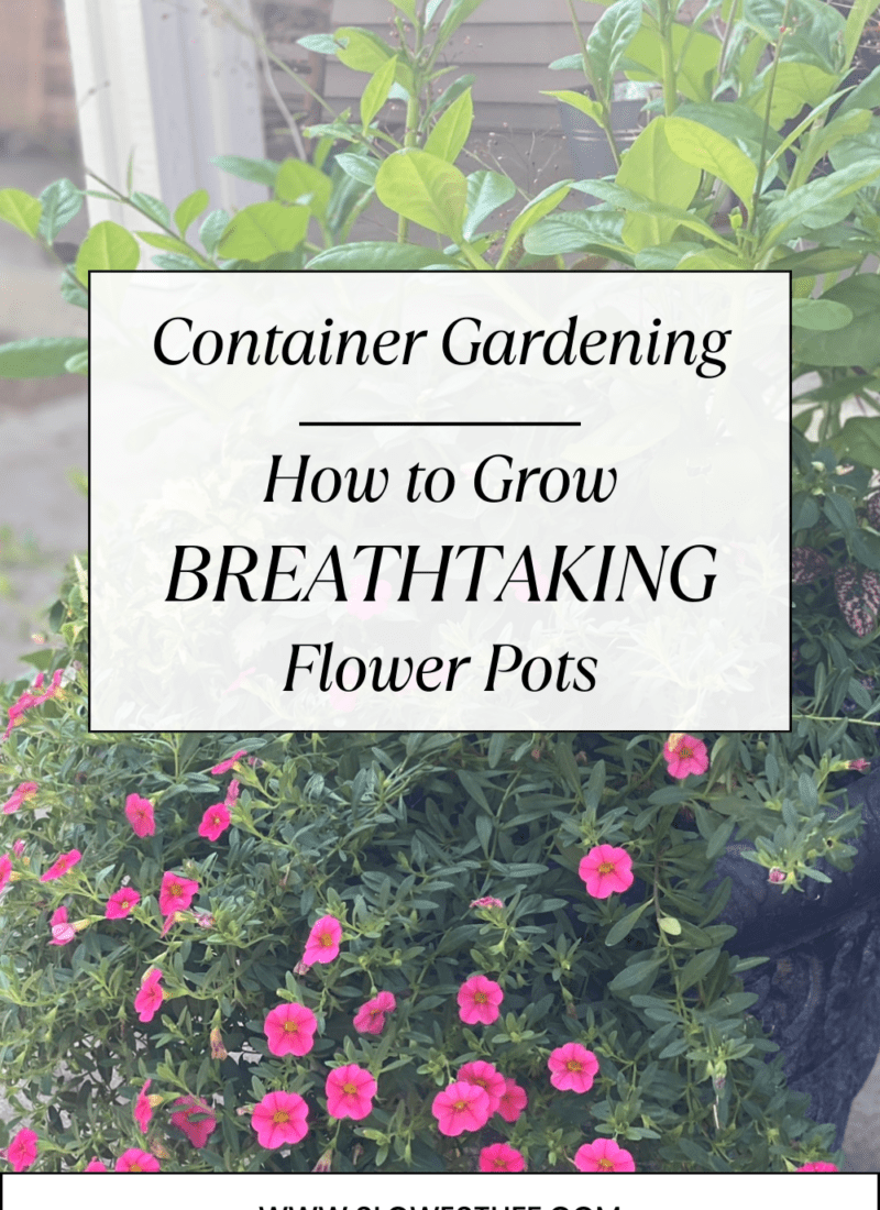 Container Gardening Tips – 4 Must Have Products to Make Your Container Garden the Envy of the Neighborhood