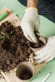 starting garden