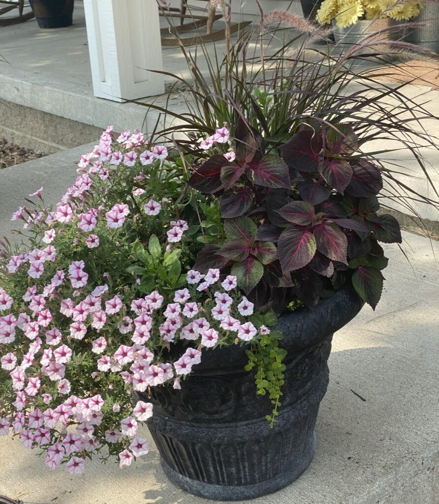 container gardening