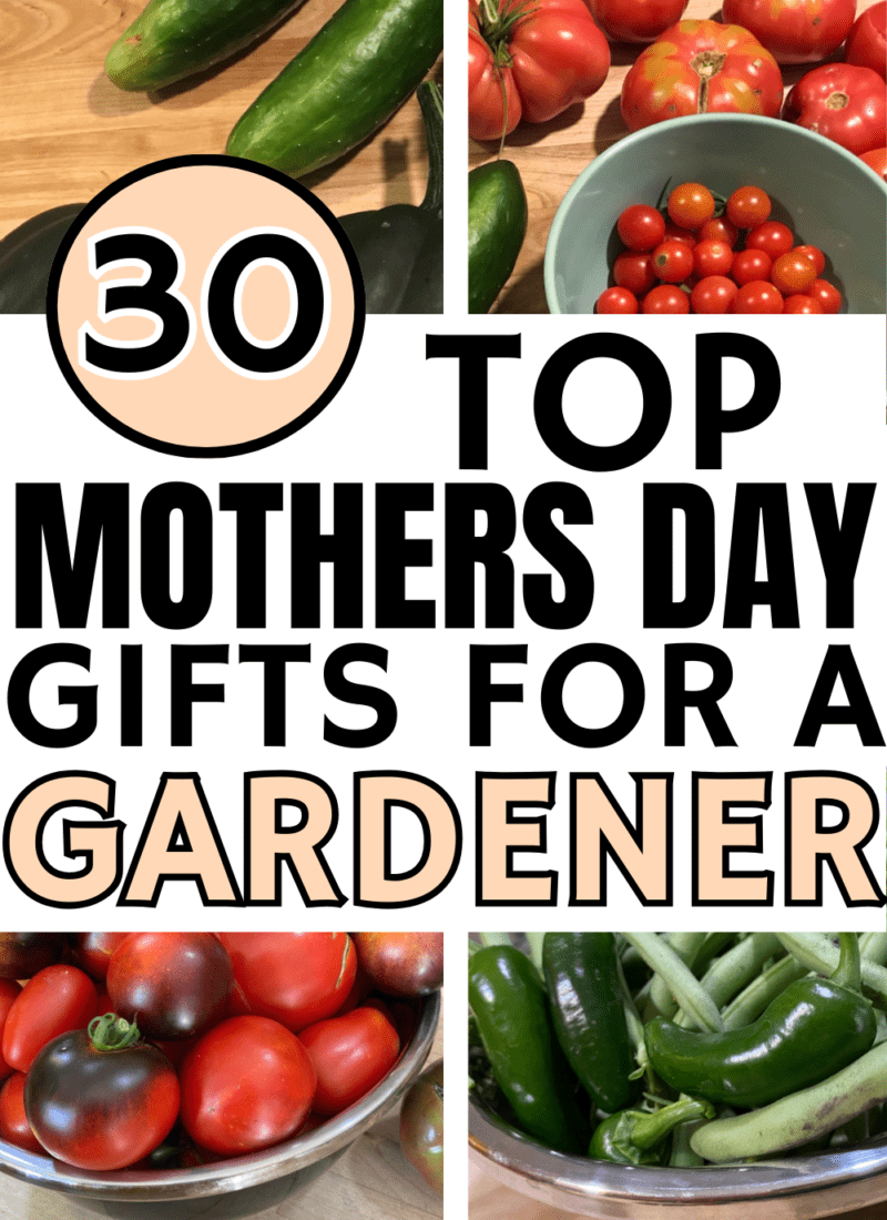 Mothers Day Gift Ideas for Gardeners