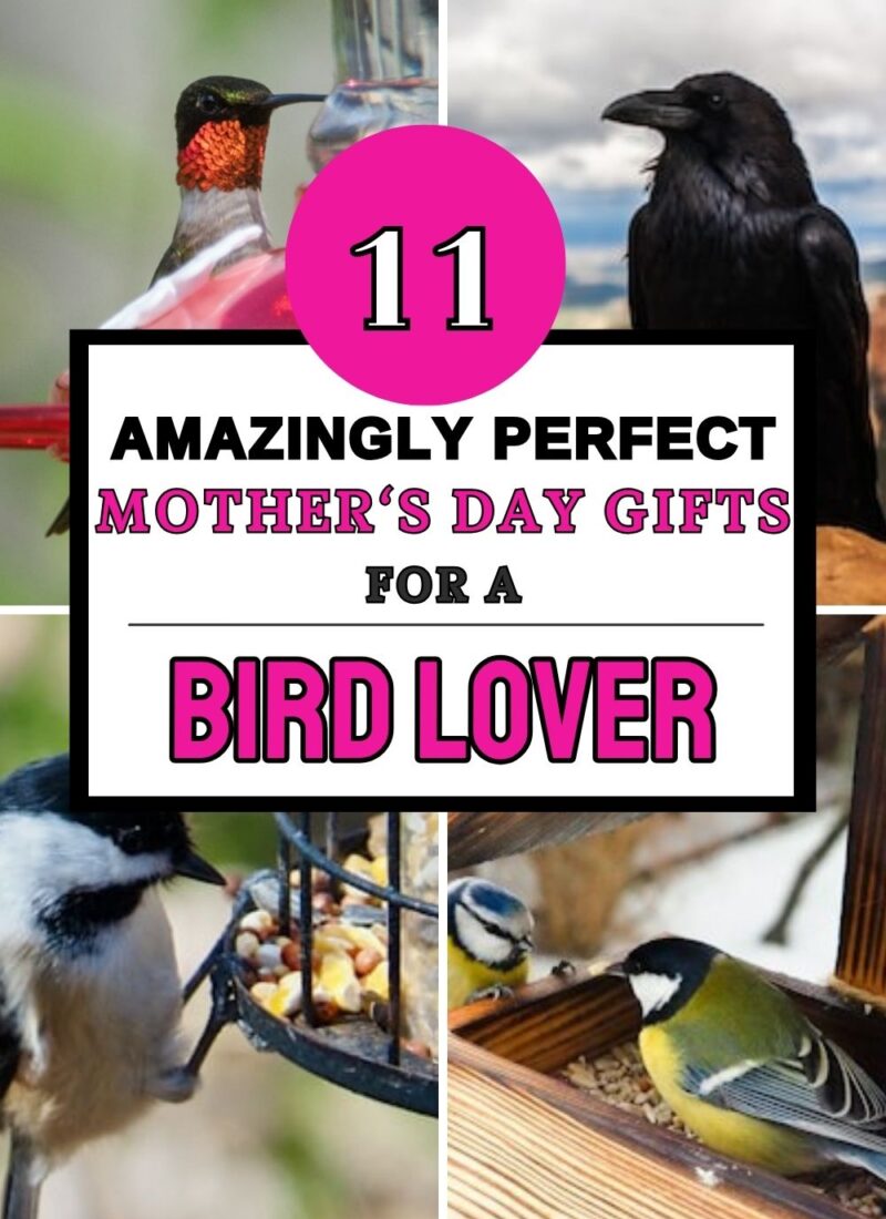 The Best Mothers Day Gift Ideas for Bird Lovers
