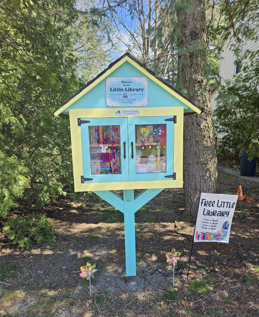 how to little free library
