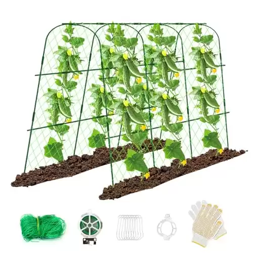 Hoyejyou 65" 48" Cucumber Trellis for Raised Bed, U-Shape Garden Trellis for Climbing Plants Outdoor, Metal Arch Vegetables Trellis, Detachable Cucumber Trellis Support for Tomato,Squash,Zu....