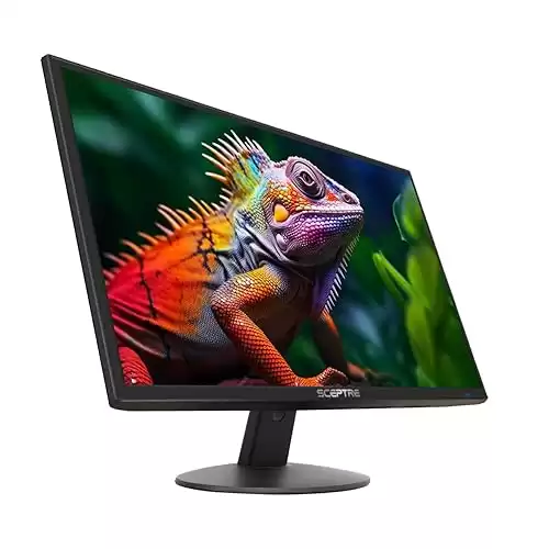 Sceptre 24-inch Professional Thin 1080p LED Monitor 99% sRGB 2x HDMI VGA Build-in Speakers, Machine Black (E248W-19203R Series)