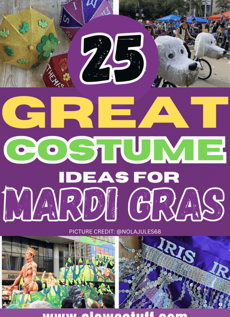 mardi gras costume ideas