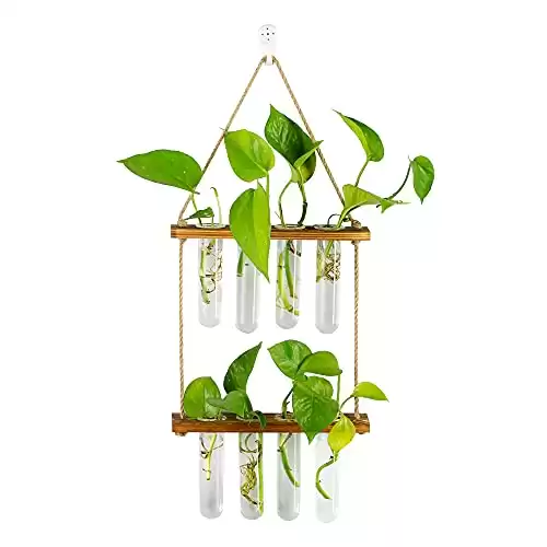 Hanging Plant Propagation Stations Tubes, Glasseam Wall Glass Planter Terrarium with Wooden Stand Propogation Station Vases Test Tubes for Plants Propagate Hydroponics Air Flower, 2 Tier