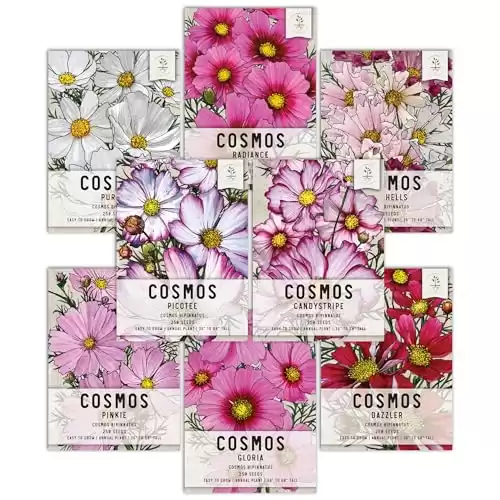 Seed Needs, Cosmos Seed Packet Variety Pack Collection (8 Individual Cosmos Wildflowers for Planting) Heirloom & Open Pollinated