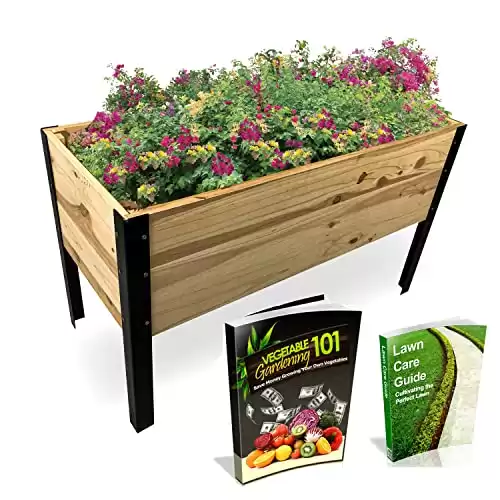 Backyard Expressions Raised Garden Bed, Elevated Wood Planter Box Stand - 35.5" W x 15.5" D x 22" H