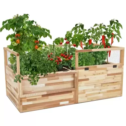 Jumbl Large Raised Canadian Cedar Garden Bed | Elevated Wooden Planter with Fence | for Growing Fresh Vegetables Herbs, Flowers, & Other Plants at Home | Great for Outdoor Patio, Deck | 72x39x33.5...