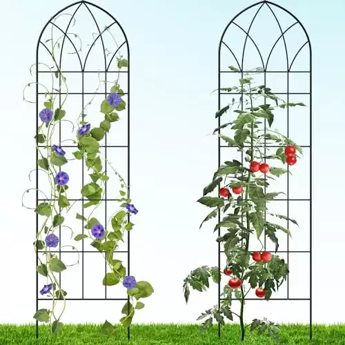 Gray Bunny Garden Trellis for Climbing Plants Outdoor - 2 Pack - 58" x 16" Cucumber Trellis, Rust Proof Metal Trellis for Tomatoes, Vines, Flower Beds, Roses