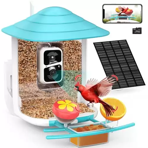 birdsnap Smart Bird Feeder with Camera, Auto Capture AI Identify 10000+ Species, 6-in-1 Hummingbird Feeder Camera for Outside, Idea Gift for Bird Watching & Bird Lover