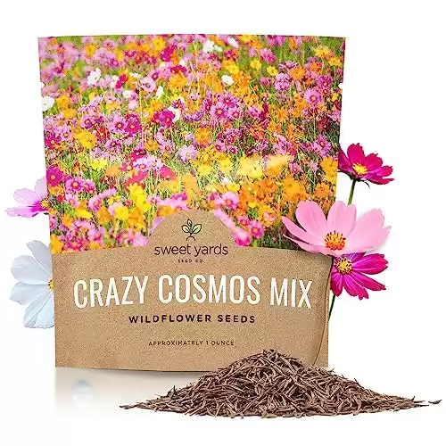 Cosmos Seeds Wildflower Mixture - Bulk 1 Ounce Packet - Over 5,000 Seeds - Pink, Yellow, Orange, Red, Purple and White Mixed Species!