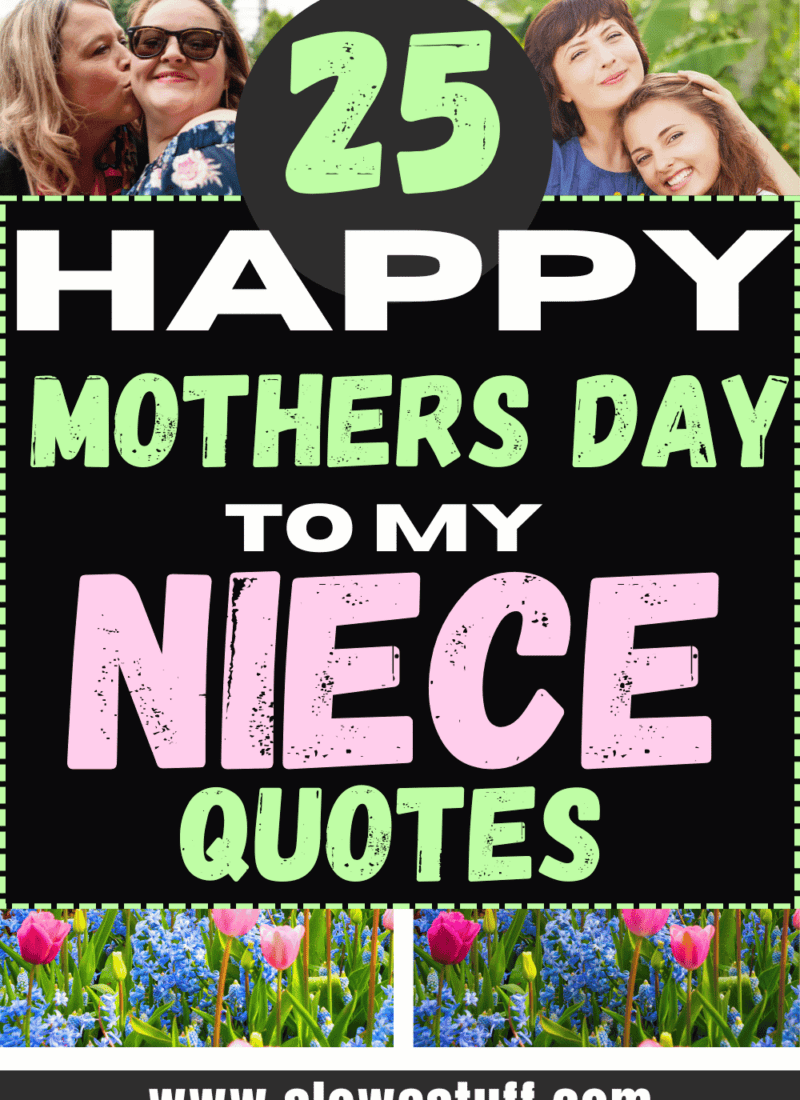 25 Best Happy Mothers Day to My Niece Quotes & Wishes