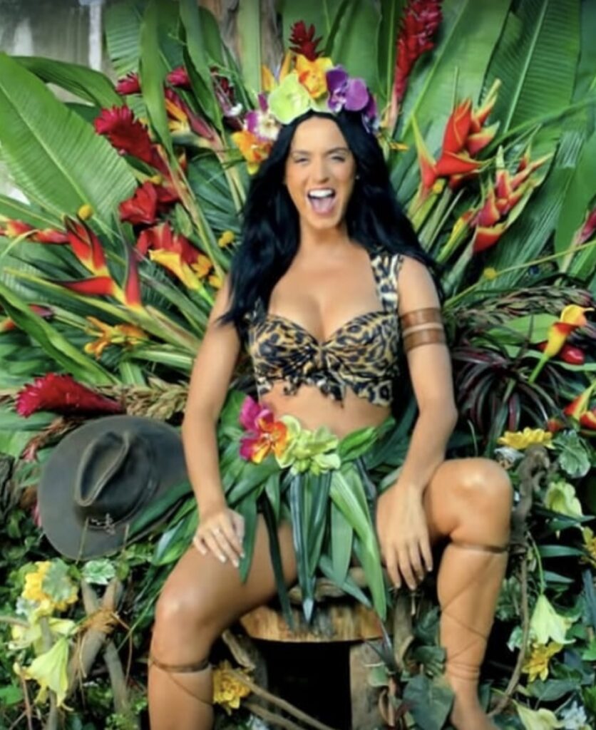 katy perry halloween costumes
