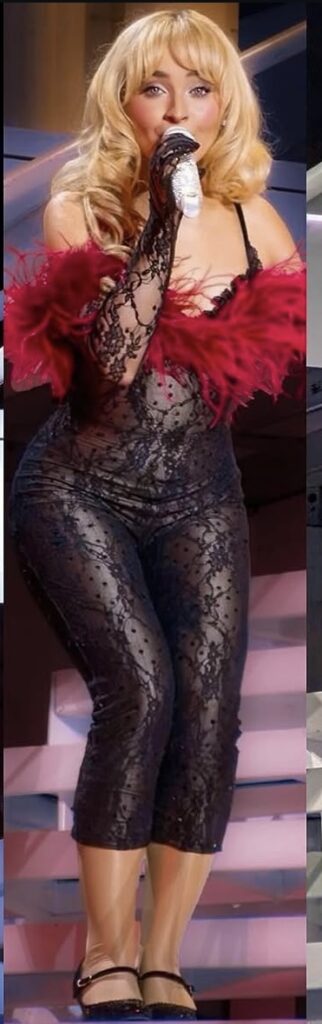 sabrina carpenter costumes