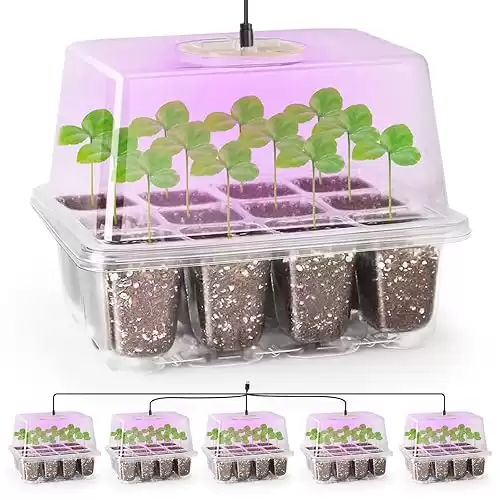Bonviee 5 Packs Seed Starter Tray with Grow Light, Elevated Seedling Starter Trays Kits with Adjustable Humidity Domes and Clear Cell Tray, 12 Full Spectrum led lamp Beads for Plants Indoor-Clear