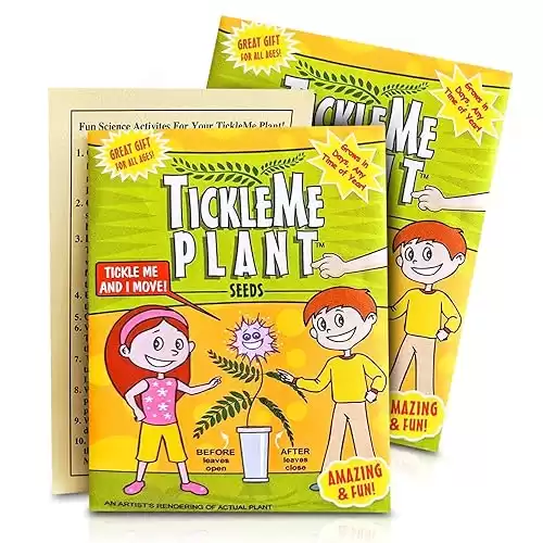 TickleMe Plant Seeds Pack (2) Fun Party Favor, Leaves Fold When Touched! Easy to Grow Indoors, Can Flower, Includes 10 Activities, Reopens in Minutes Perfect Stocking Stuffer!