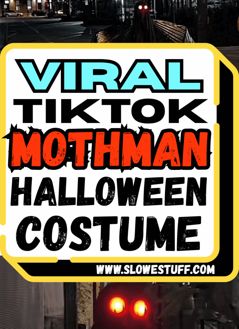 Viral TikTok DIY Mothman Costume: How To Make Your Own