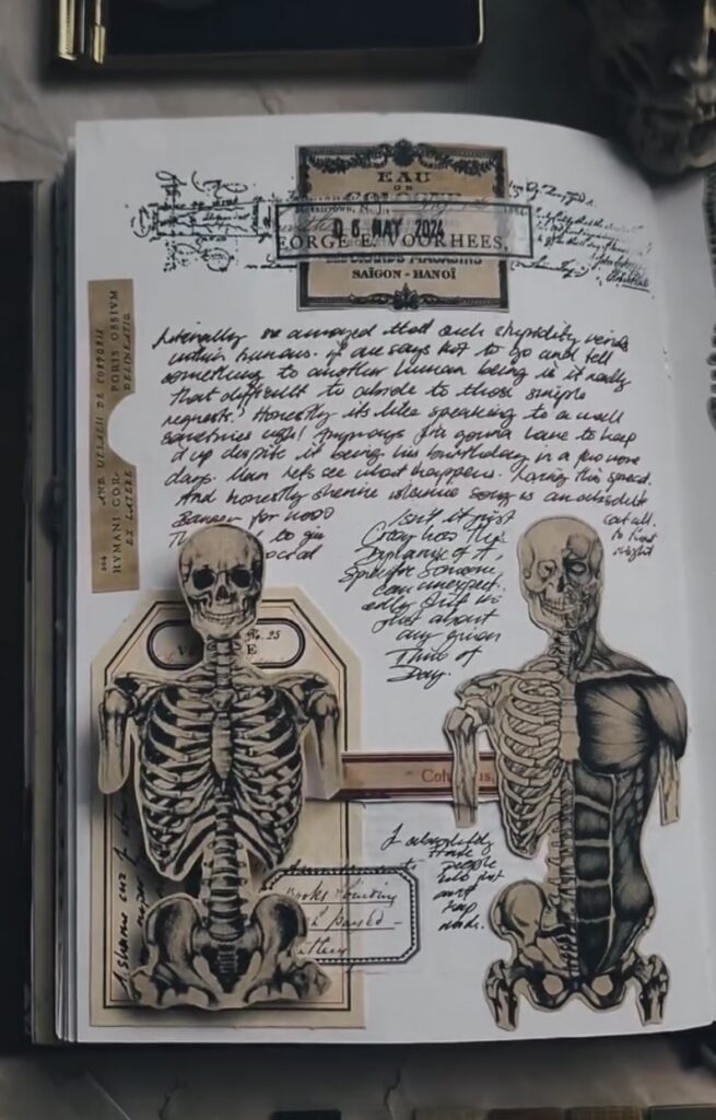 Anatomical skeleton illustrations with vintage ephemera. Credit: paper_craze