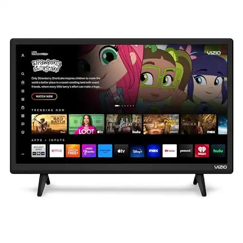 VIZIO 24-inch D-Series Full HD