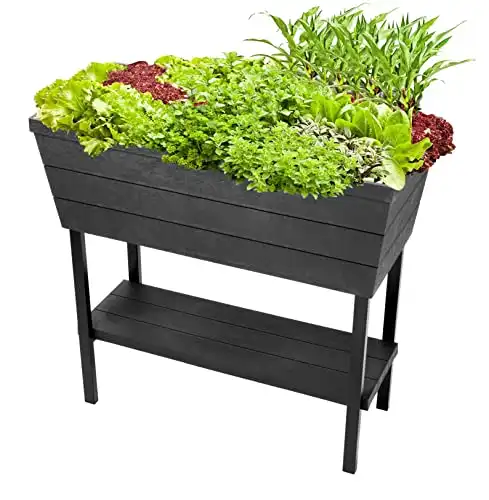 Keter Urban Bloomer 12.7 Gallon Raised Garden Bed with Self Watering Planter Box and Drainage Plug, Dark Grey