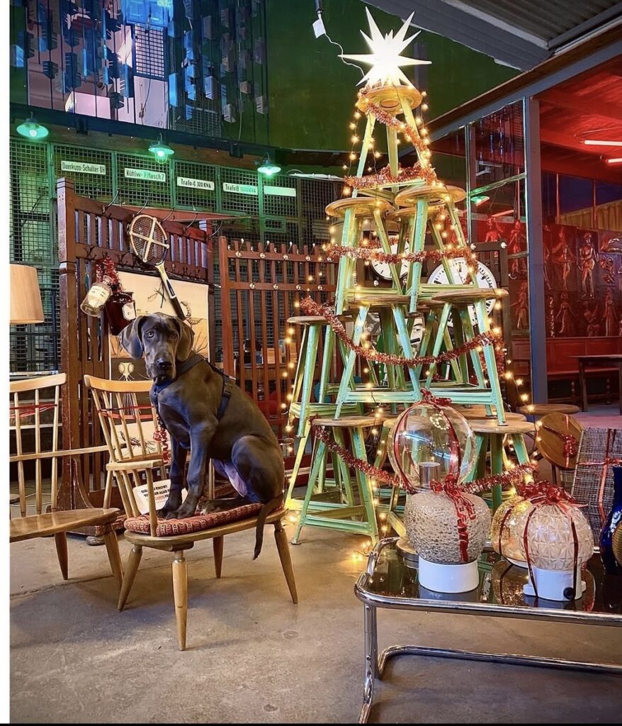 Unique Christmas tree material arranged into a creative alternative holiday tree