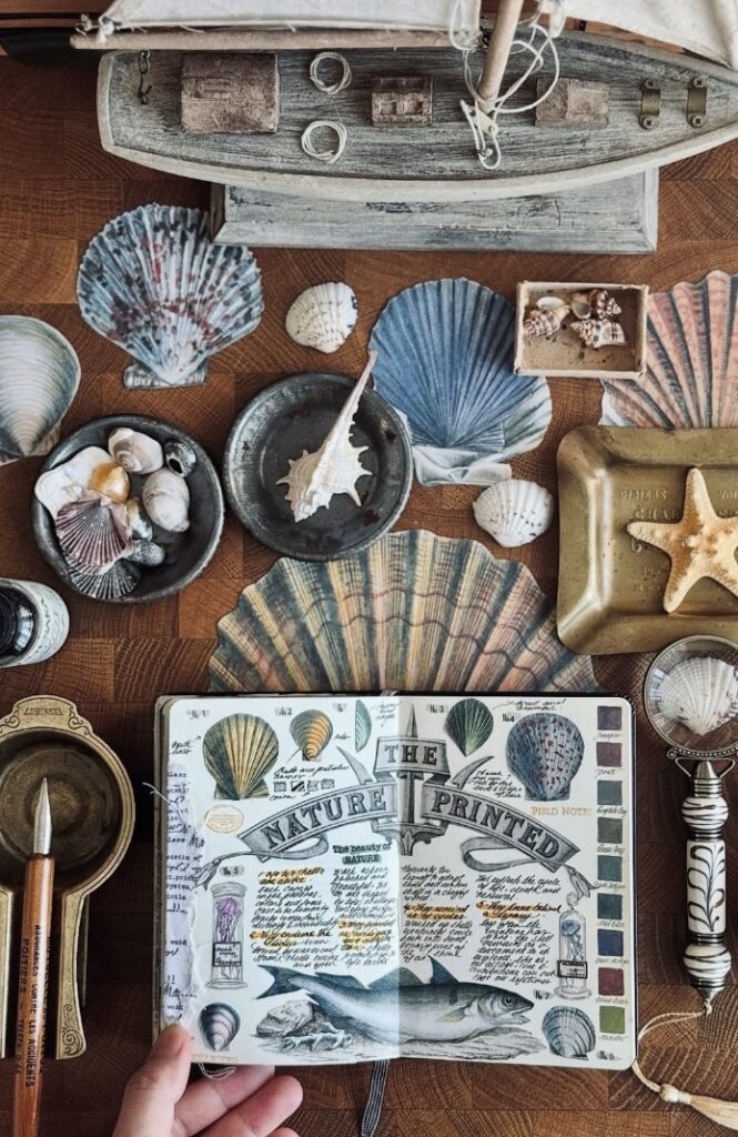 Open ocean nature journal spread with “The Nature Printed” title, seashell illustrations, fish, and coastal ephemera surrounded by shells and a model boat.