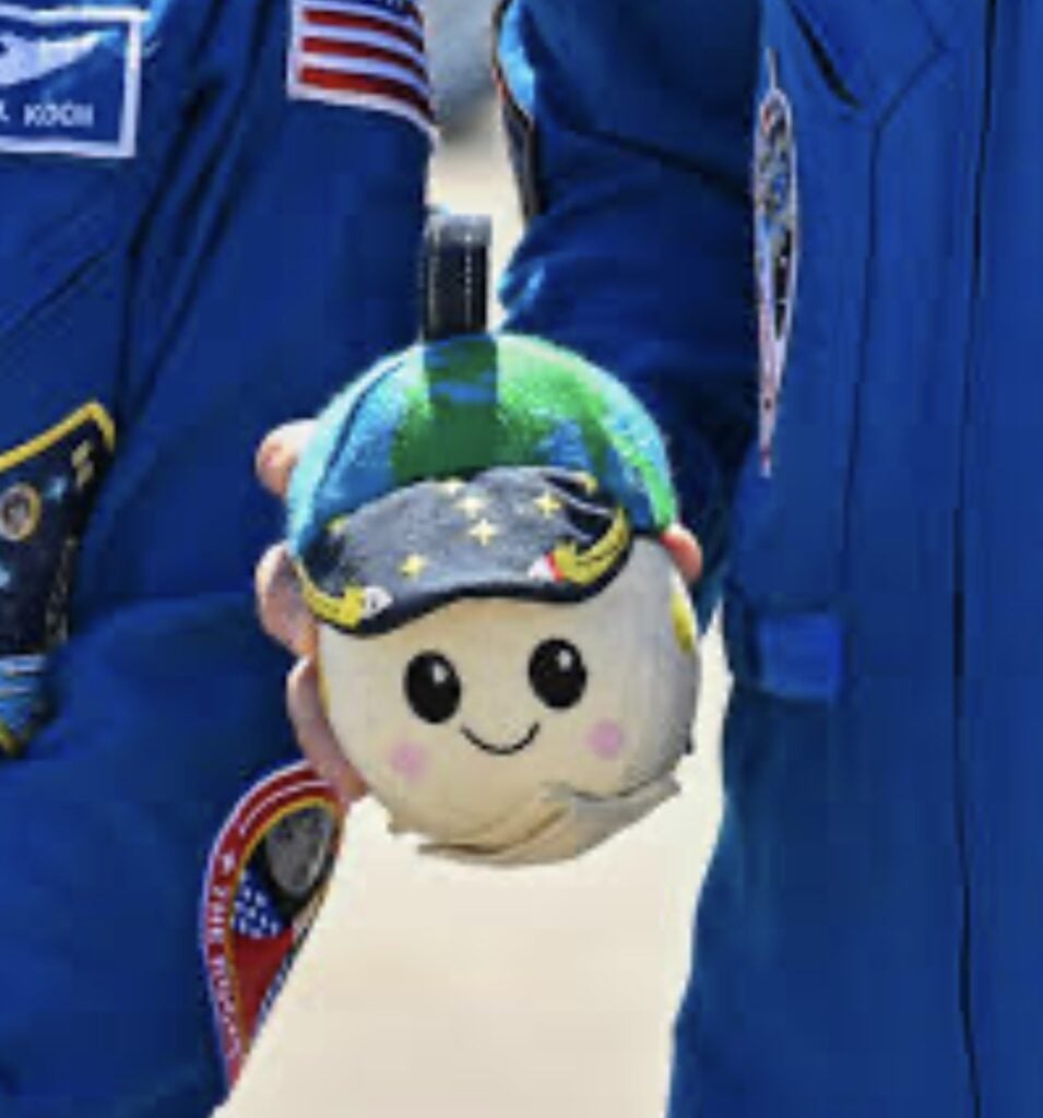 Rise the plush toy carried on the Artemis II mission, an accessory for a Copy Moon Joy Halloween costume.