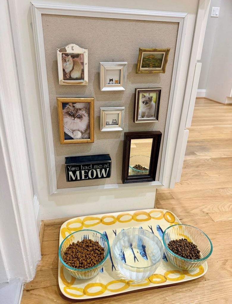 Cat feeding area with framed cat portraits, small landscape art, mirror, and You Had Me at Meow sign above three glass bowls.