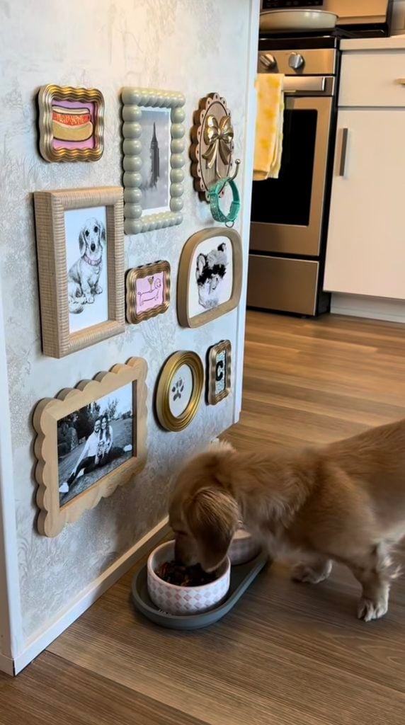 Small brown dog eating beneath a whimsical dog gallery wall with framed pet portraits, paw print art, a mirror, and a hook holding a collar.