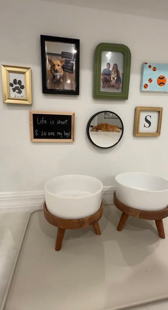 Dog feeding station with raised white bowls beneath a gallery wall featuring dog photos, a framed paw print, mirror, initial, and funny dog sign.