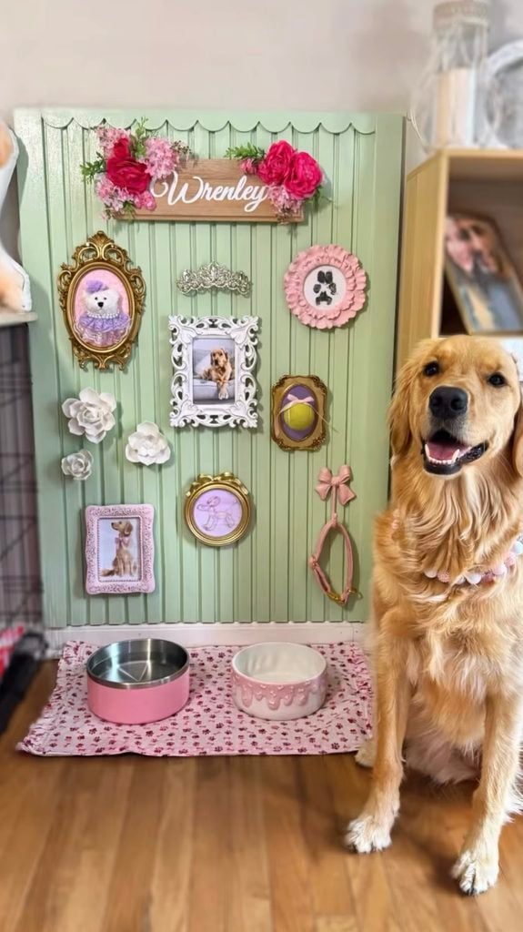 Golden retriever beside a colorful dog gallery wall with sage green backdrop, pink bowls, name sign, pet portraits, paw print, tennis ball art, flowers, and collar.