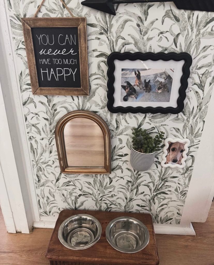 Dog feeding station against leafy wallpaper with framed dog photos, mirror, plant, and sign reading You Can Never Have Too Much Happy.