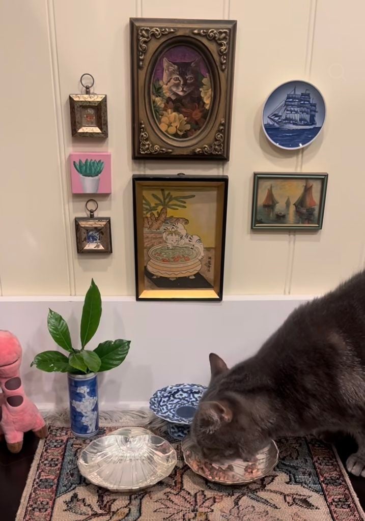 Black cat eating beneath an eclectic cat gallery wall with ornate cat portrait, vintage ship plate, framed art, small mirrors, and plant.