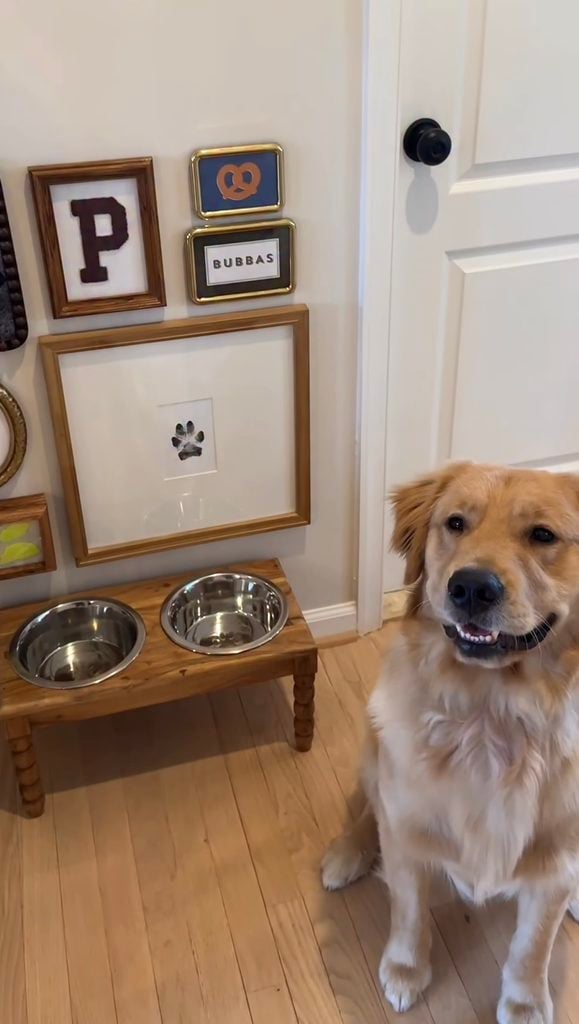 Golden retriever beside a raised wooden feeding station and gallery wall with framed paw print, pretzel art, pet name sign, and letter P.