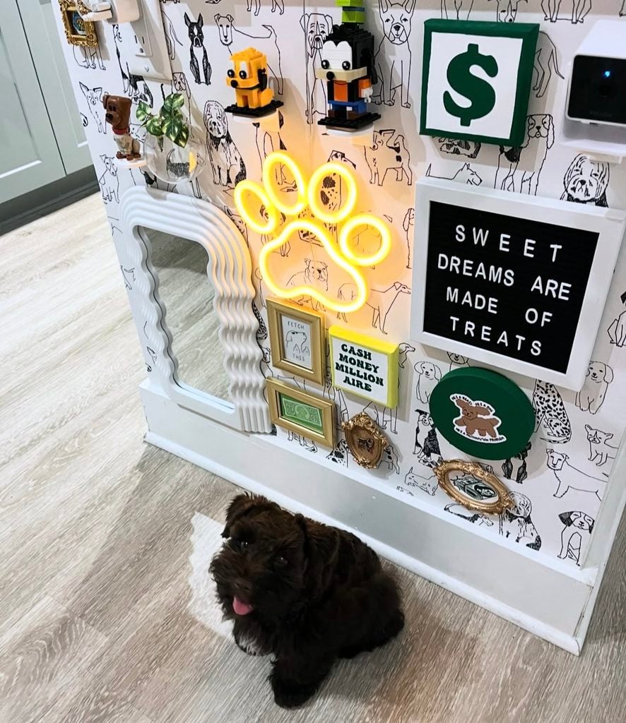 Black dog beside a bold whimsical gallery wall with dog-print wallpaper, glowing paw light, wavy mirror, mini dog figures, framed signs, and playful artwork.