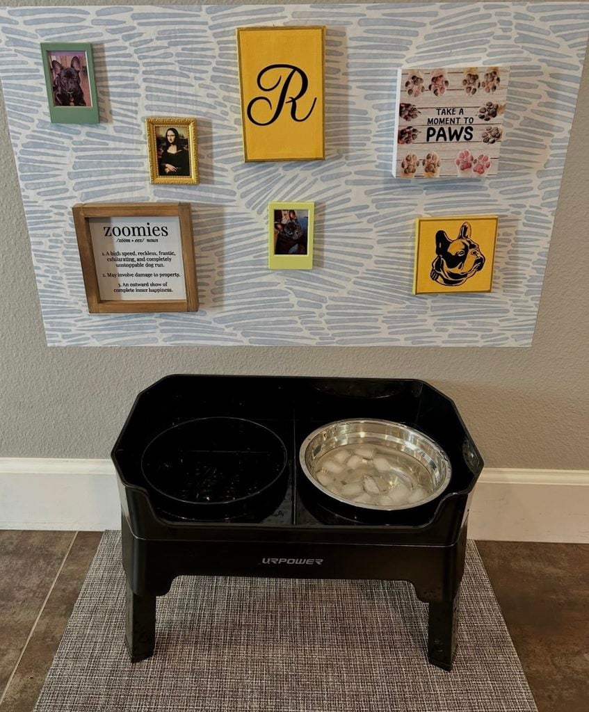 Playful dog gallery wall above a raised feeding station with blue patterned backdrop, pet photos, paw print sign, dog illustration, initial, and Zoomies definition art.