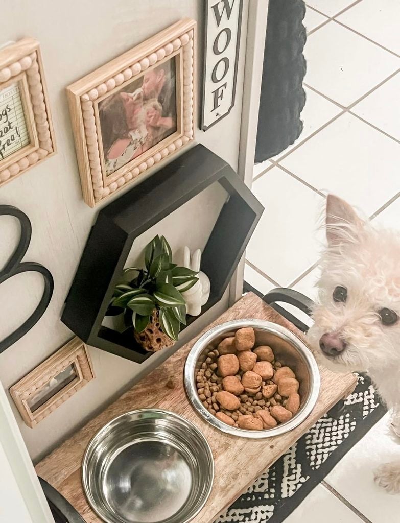 Small white dog beside a rustic raised feeding station with framed pet photo, dog sign, tiny shelf with plant, and neutral gallery wall decor.
