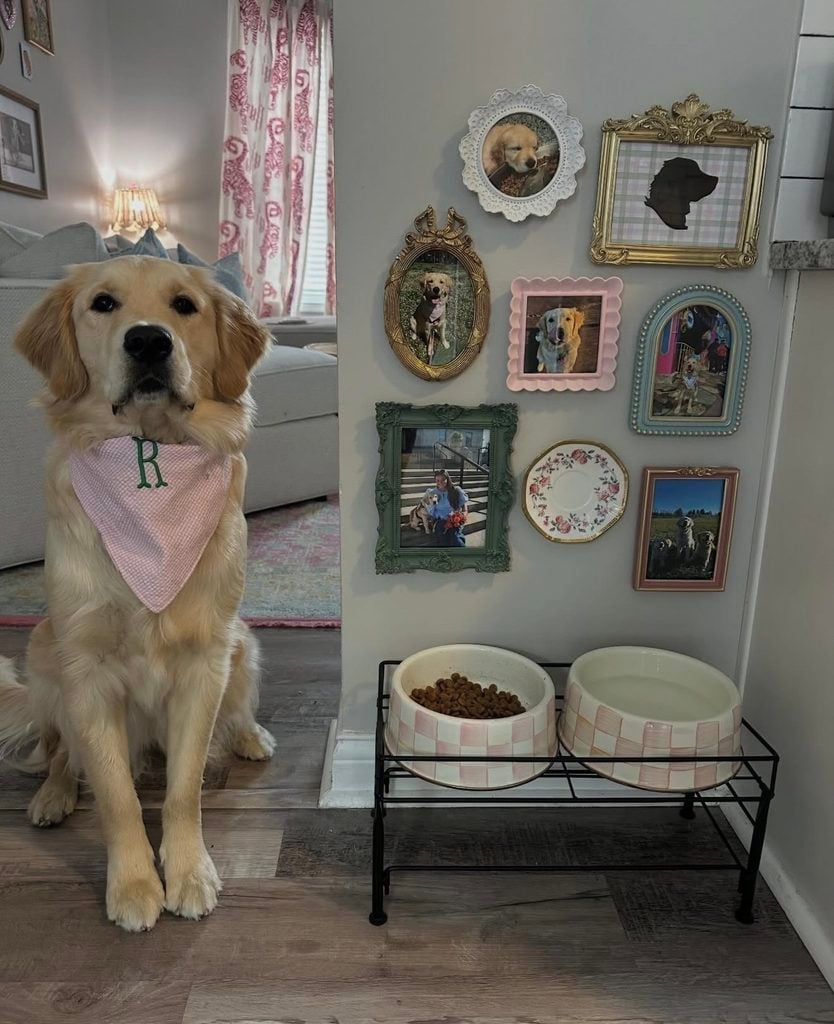 Golden retriever beside a dog feeding station with pink plaid bowls and a gallery wall of framed pet photos, portraits, and vintage-style art.