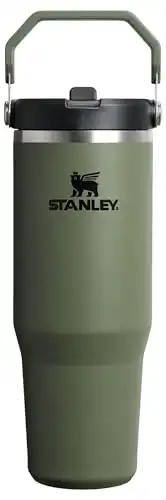 STANLEY IceFlow 2.0 Flip Straw Tumbler, 30 oz, Dried Pine
