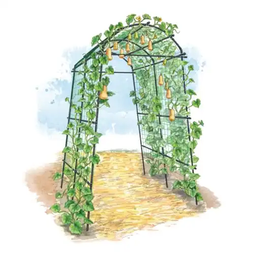 Gardener s Supply Company Extra Tall Garden Arch Arbor | 80 Inch Tall Titan Squash Tunnel | Lightweight Metal, Trellis Plant Stand for Climbing Vines | Outdoor Lawn Tower & Support Structure
