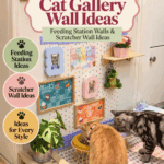 28 Creative Cat Gallery Wall Ideas & Decor for a Spoiled Pet
