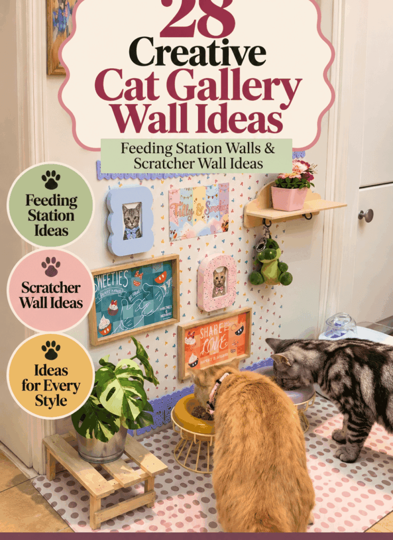 Cat gallery wall with framed cat art above a colorful feeding station for two cats, featuring ideas for feeding station walls, scratcher walls, and different decorating styles.