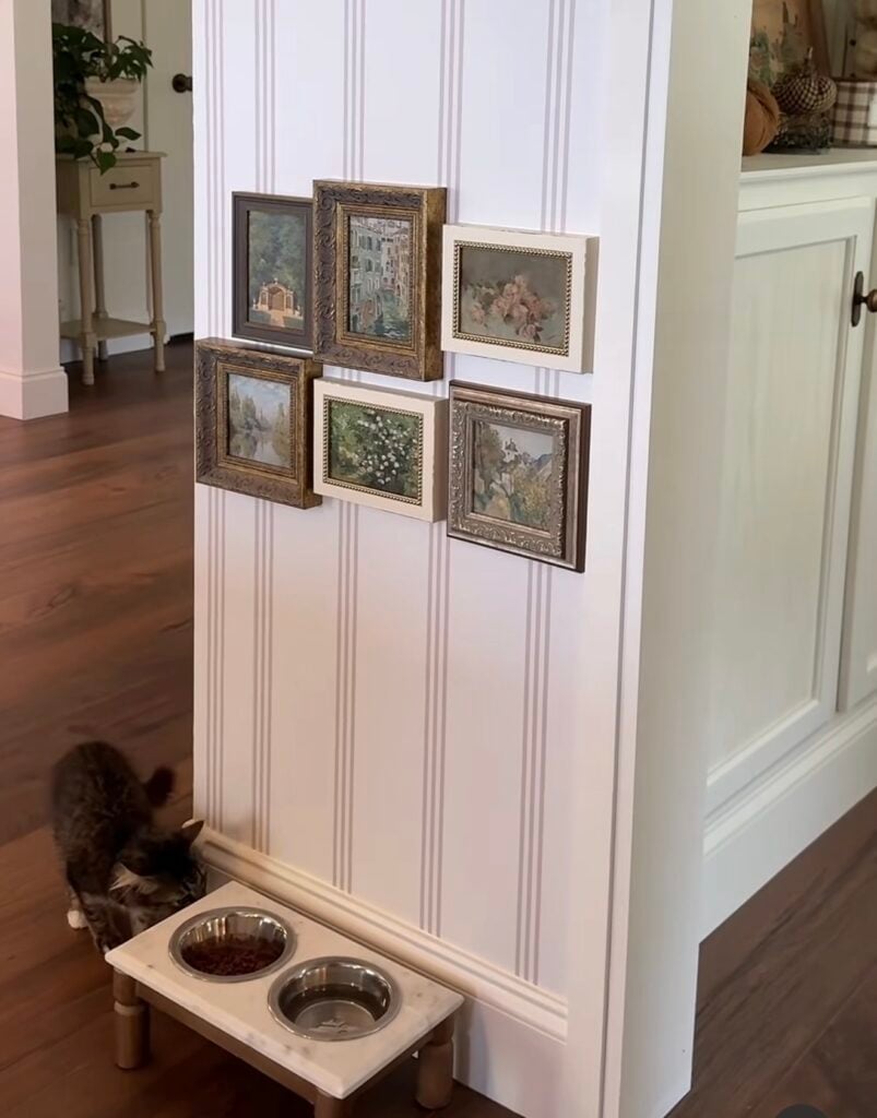 Small cat beside a raised feeding station beneath a simple gallery wall of six vintage-style framed landscape and floral prints.